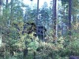 Tn IMG 1423